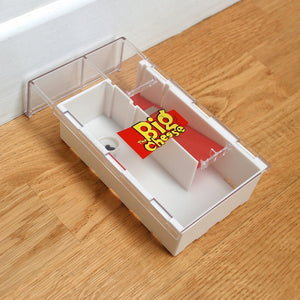 Live Multi Catch Mouse Trap