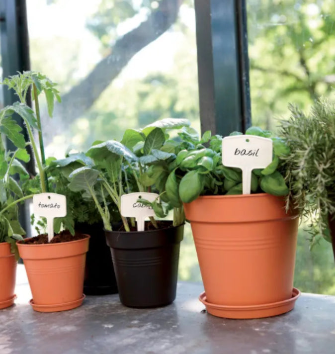 Green Basics Growpot 24cm Terracotta