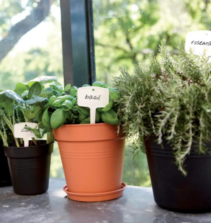 Green Basics Growpot 24cm Black