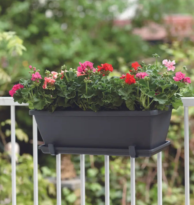 Barcelona Trough 50cm Anthracite