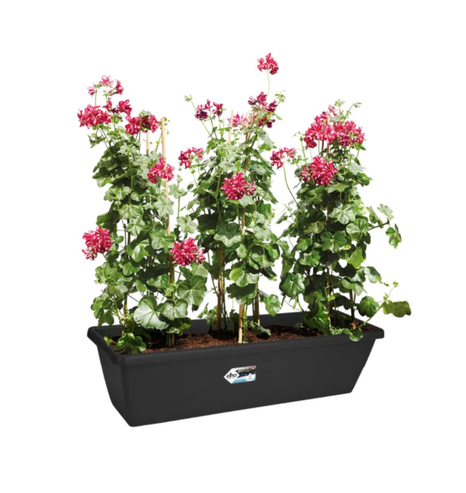 Barcelona XL 60cm Anthracite