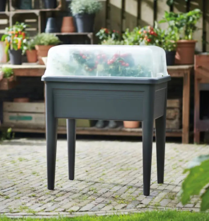 Green Basics Grow House XXL Clear (Lid Only)