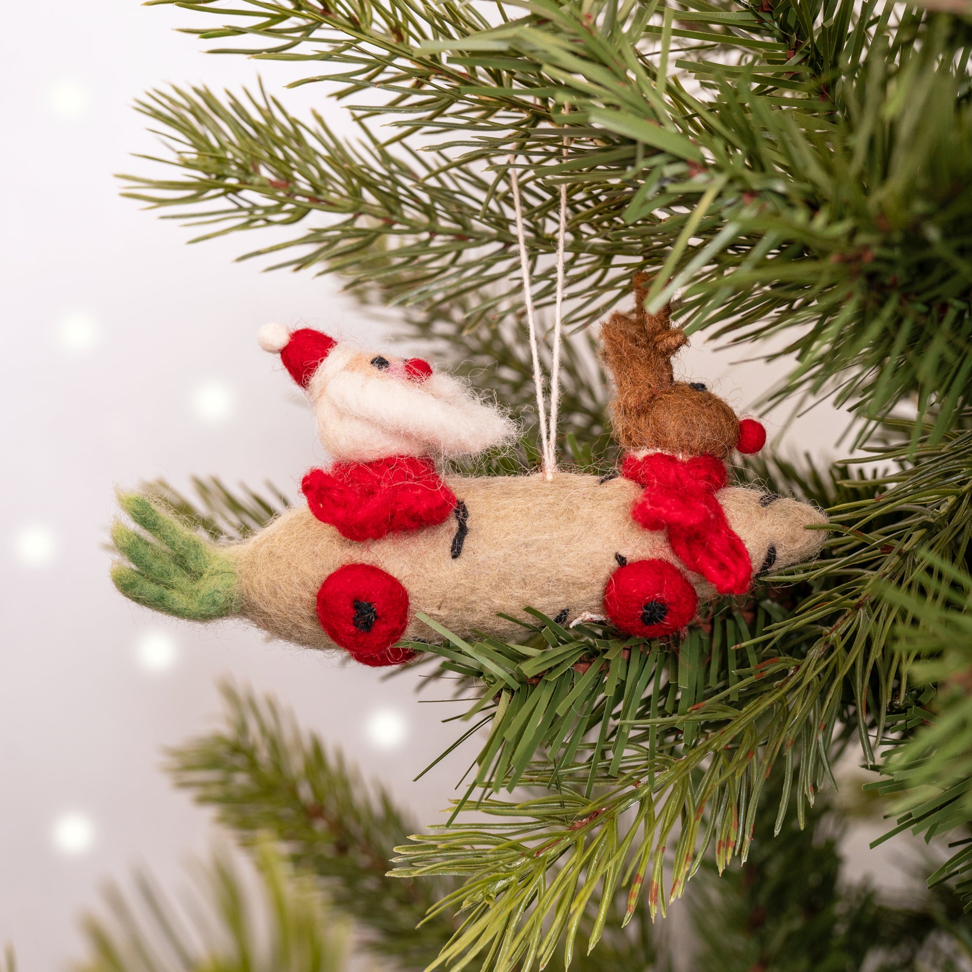 Christmas Parsnip Car with Santa & Reindeer Whitehall Garden Centre