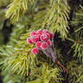 Frosted Holly Berry Bunch7cm