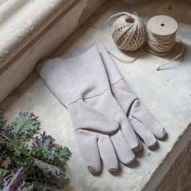 Garden Trading Co. Gauntlet Gloves In Natural Suede