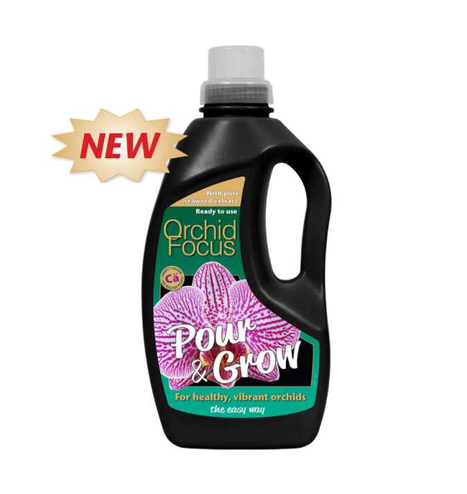 Orchid Focus Pour & Feed 1L