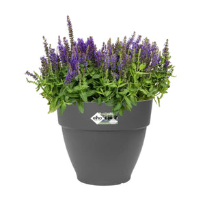 Vibia Campana Round 30cm Anthracite