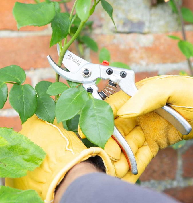 Wilkinson Sword Comfort Bypass Pruner Large