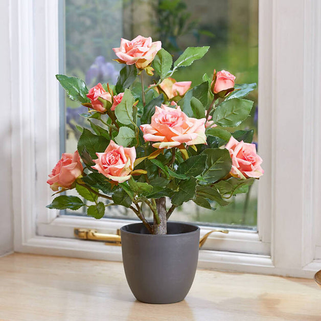 Regent's Roses - Pink 40cm