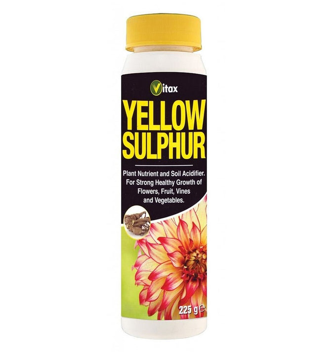 Yellow Suphur 225g