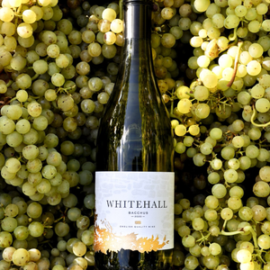 Whitehall Bacchus 2020