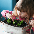 Children's Mother's Day Plant a Pot at Lacock