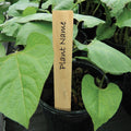 Wooden Plant Labels 5