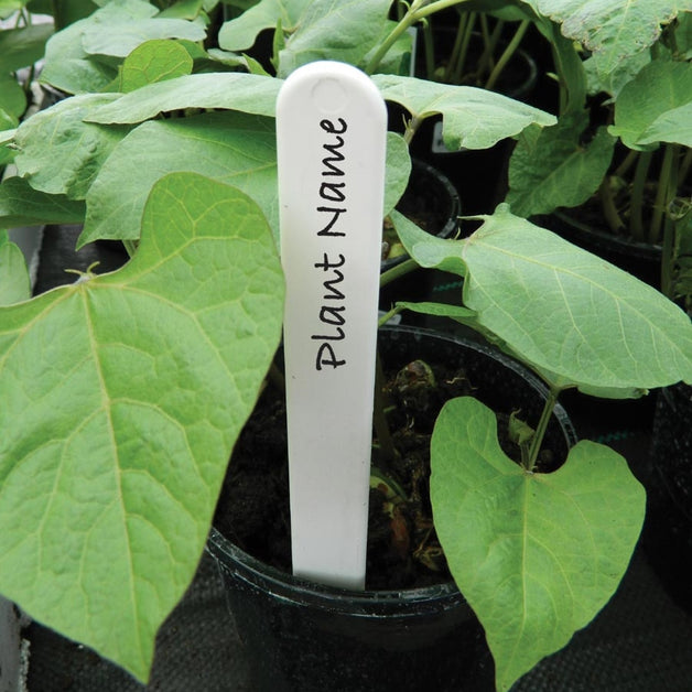 White Plant Labels 5" 50 Pack