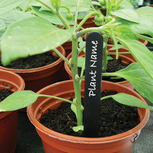 Black Plant Labels 4" 50 Pack