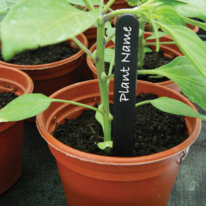 Black Plant Labels 5" 50 Pack