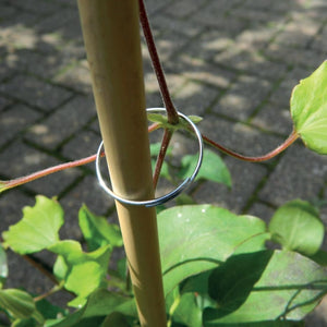 Galvanised Plant Rings 25 Pack