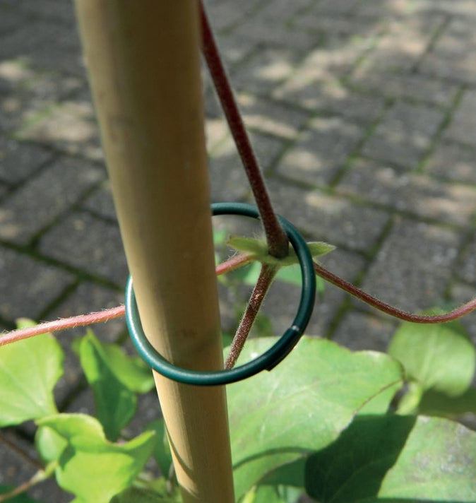 Plastic Coated Plant Rings 25 Pack